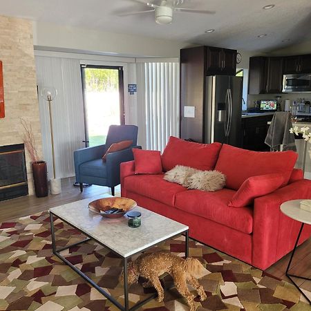 Beautiful Palm Springs Home Large Private Yard Dış mekan fotoğraf